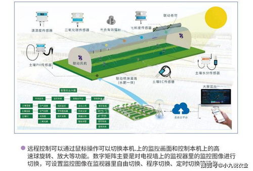 贵州温室温湿度控制系统,优质大棚环境监测技术,智慧农业物联网